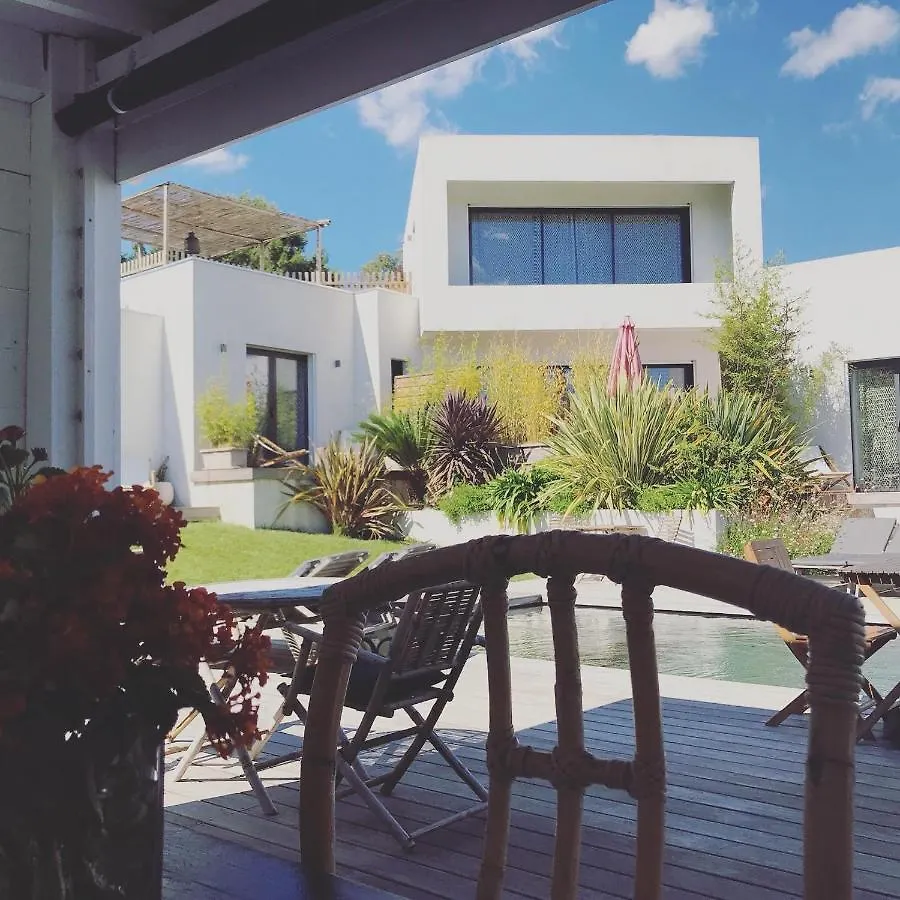 Villa Le Sud Appartements 카시스 0*,